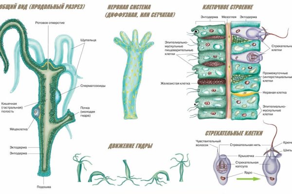 Kraken сайт покупок